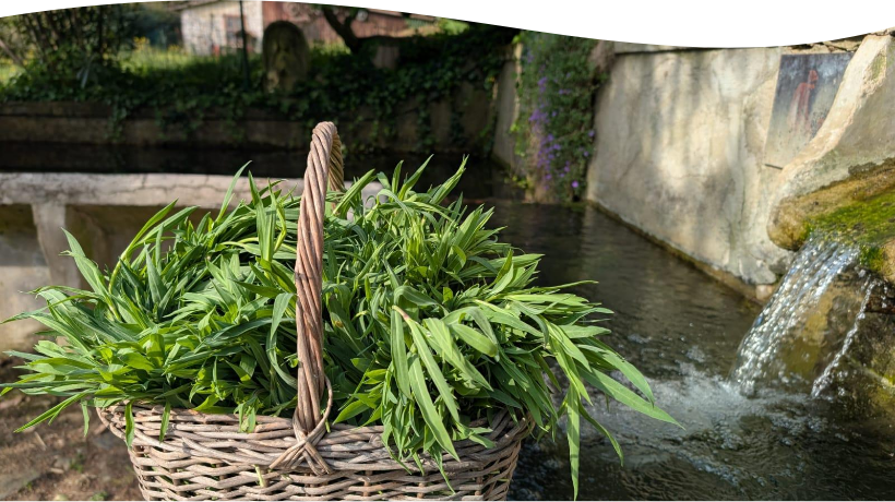 verdure